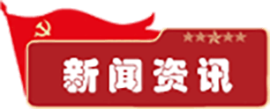 新闻资讯