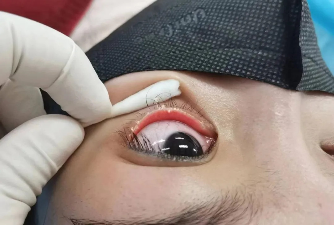 20250106093957_97108.jpeg 640 (2).jpeg