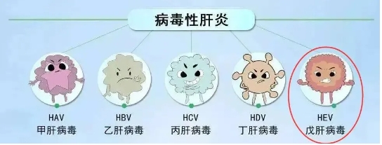 20241106131014_87831.png 20241106131014_87831.png