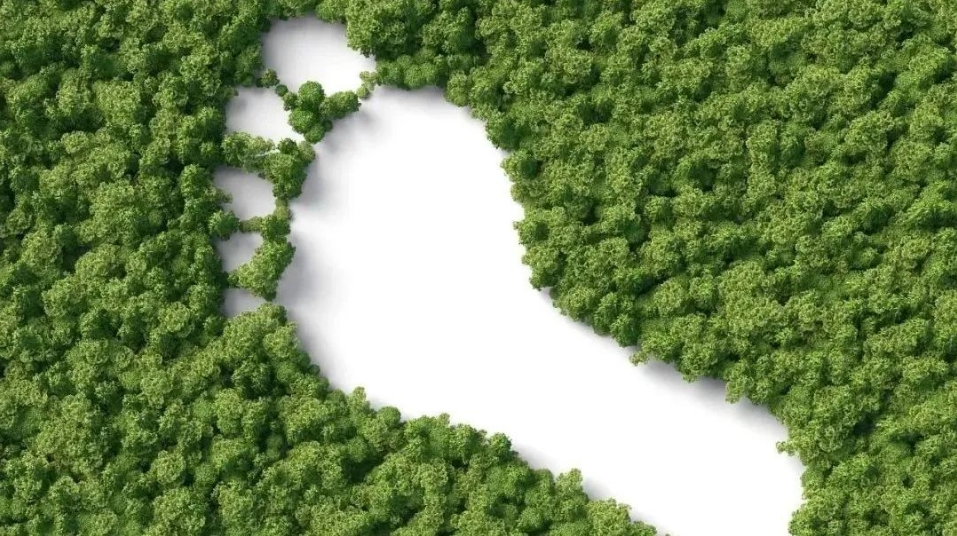 20250310140302_17749.jpg 微信截图_20250310140241.jpg