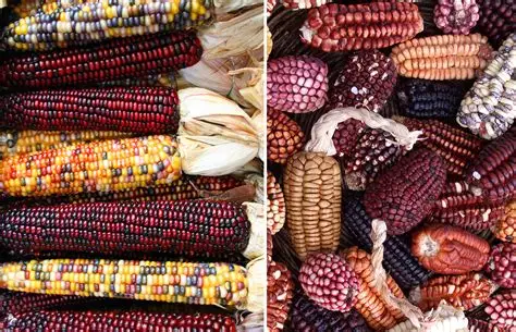 未命名__2025-07-28+12_09_16.png 未命名__2025-07-28+12_09_16.png