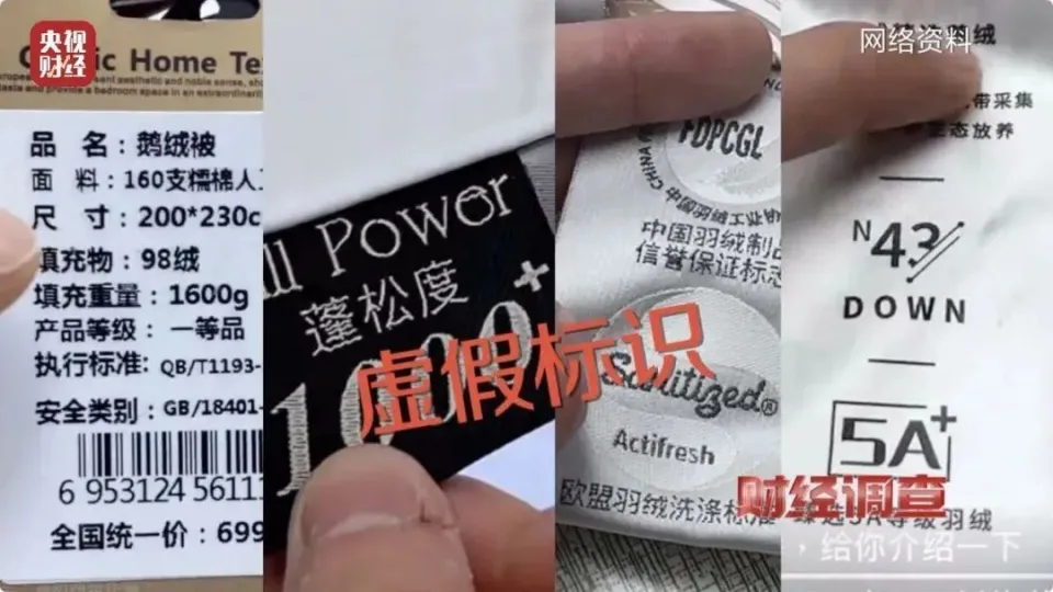 20241129125333_85447.jpeg 642.jpeg