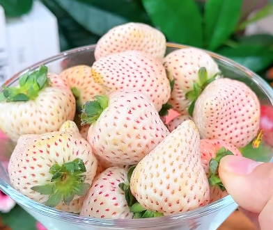 20250220111828_87980.png 微信图片_20250220111807.png