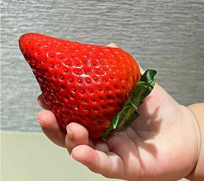 20250220111741_96565.jpg 微信图片_20250220111723.jpg