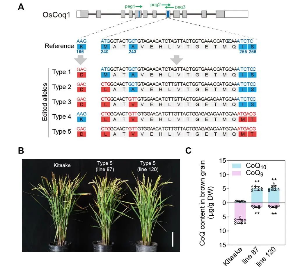 20250215094626_29325.jpg 微信图片_20250215094555.jpg
