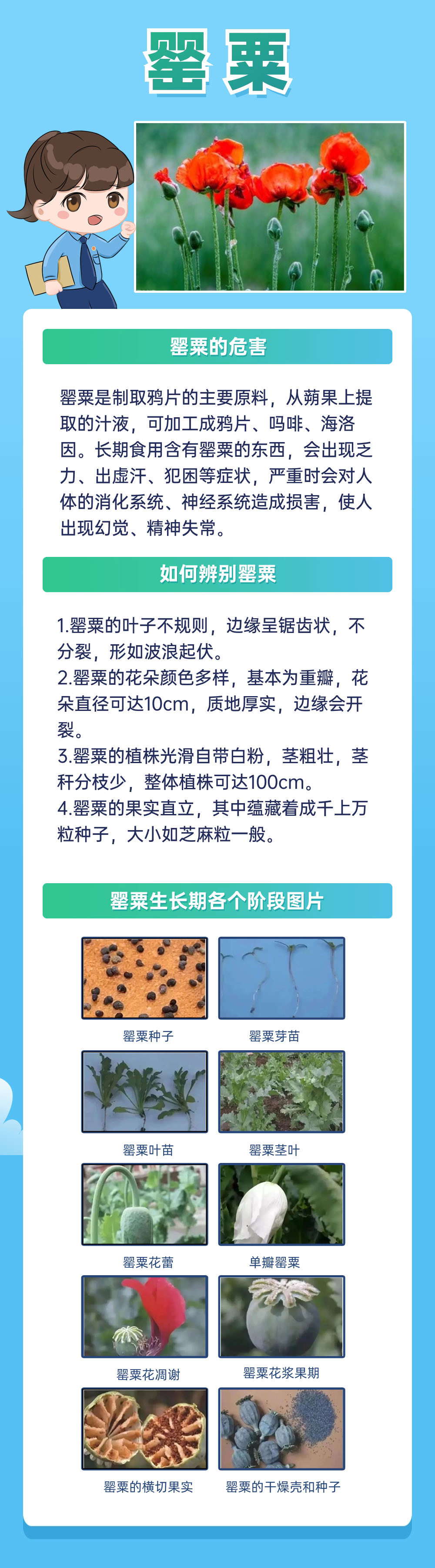 20250328091037_45040.jpg 640 (4)副本.jpg