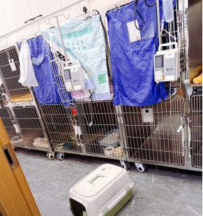 25.8.1---宠物经济消费调查报告(拟定)(1) (1)8088.png 25.8.1---宠物经济消费调查报告(拟定)(1) (1)8088.png