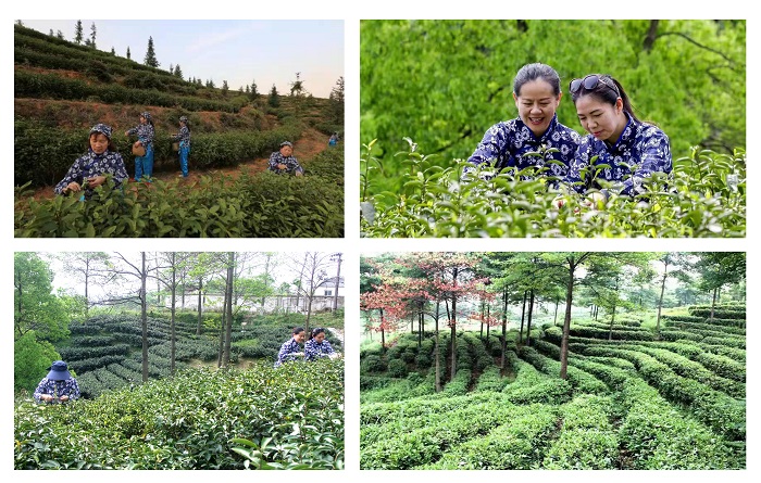 20221121160611_70724.jpg 1.jpg