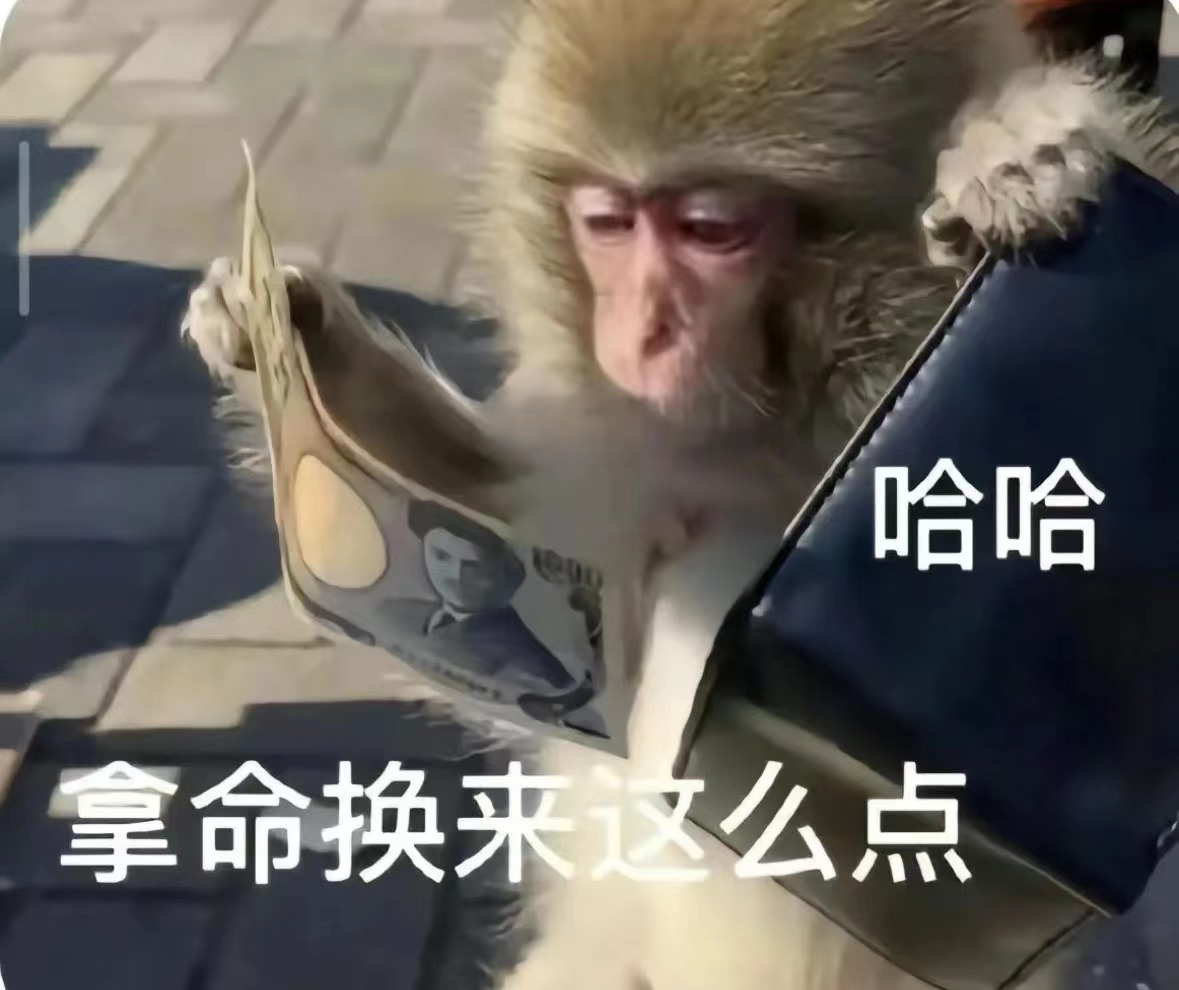 20250106093549_50573.jpeg t11508c75c83e2f790d59485ec5.jpeg