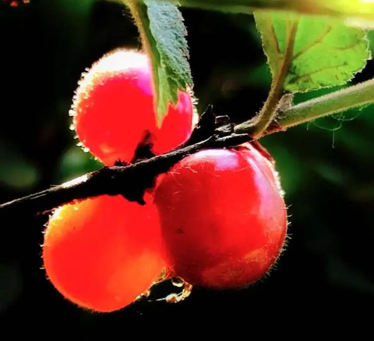 20260105101357_26916.jpg 无标题-1副本.jpg