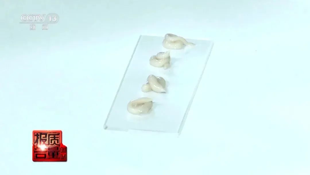 20250113100732_52045.jpg 微信图片_20250113100542.jpg