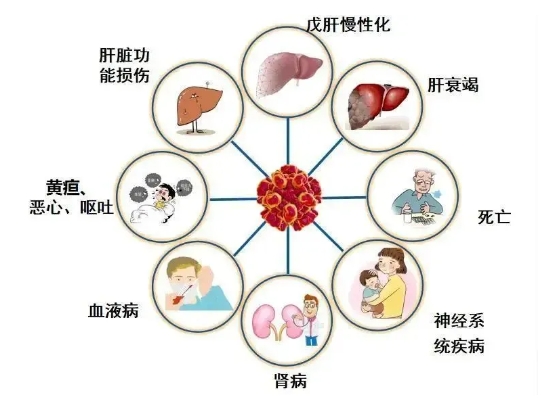 20241106131230_72736.png 20241106131230_72736.png